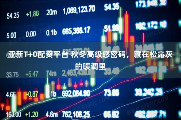 亚新T+0配资平台 秋冬高级感密码，藏在松露灰的暖调里